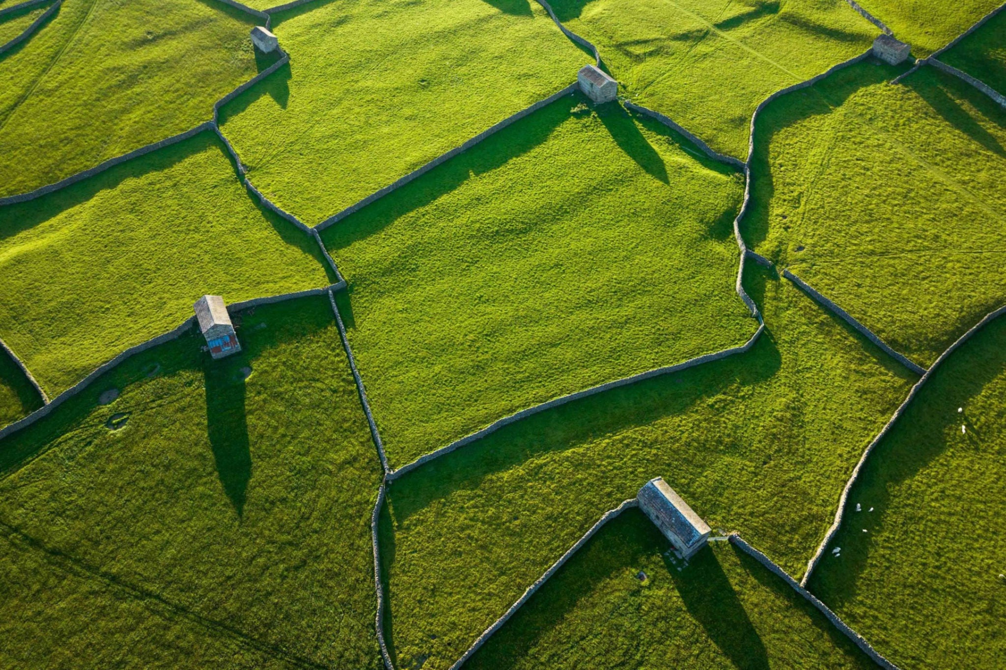 aerial shot of green pastures divided by drystone walls