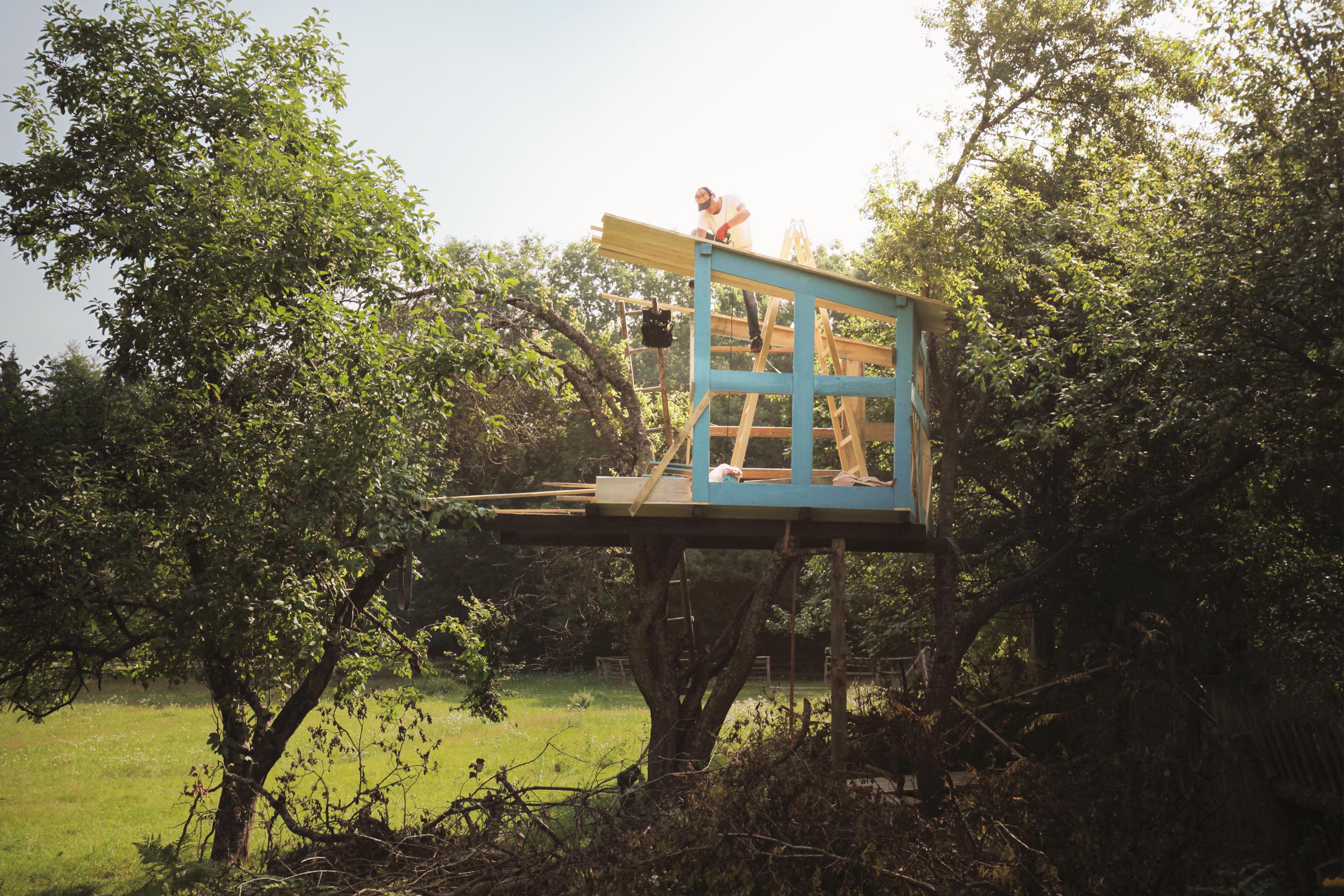 Father on tree building tree house for kids